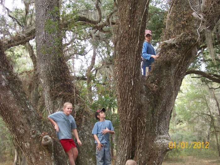 2012-Jan-02HGR4X4Croom 112